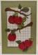 BY LENE DIES "Apple Branch" BLD1513